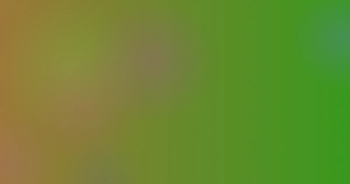 艺术片避坑：先看这5个对比